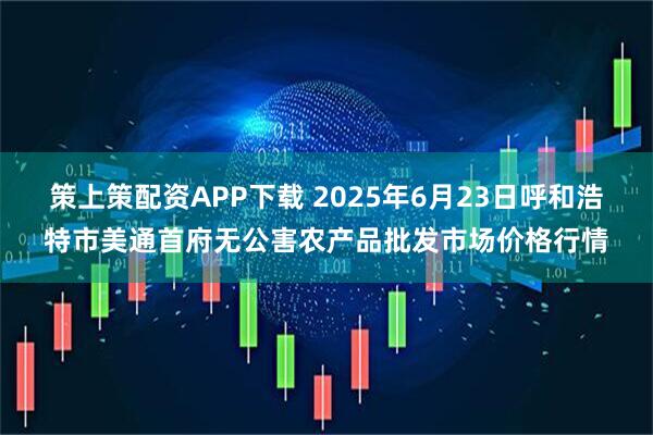 策上策配资APP下载 2025年6月23日呼和浩特市美通首府无公害农产品批发市场价格行情