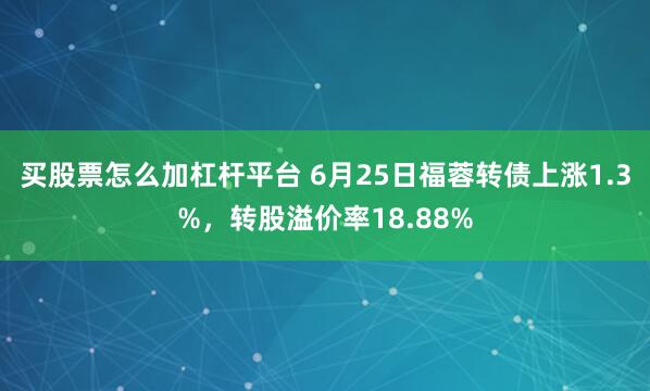 买股票怎么加杠杆平台 6月25日福蓉转债上涨1.3%，转股溢价率18.88%