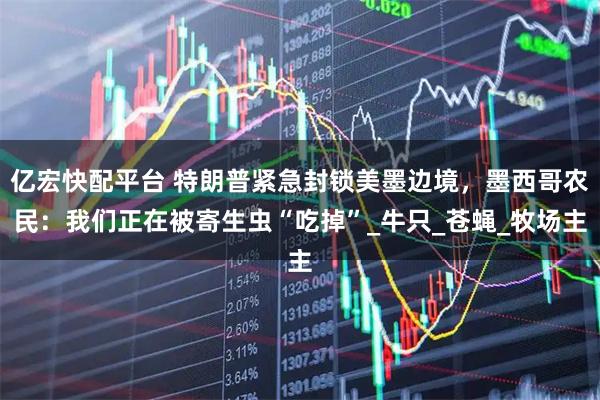 亿宏快配平台 特朗普紧急封锁美墨边境,墨西哥农民:我们正在被寄生虫“吃掉”_牛只_苍蝇_牧场主