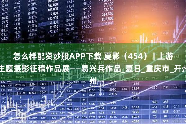 怎么样配资炒股APP下载 夏影(454) | 上游主题摄影征稿作品展——易兴兵作品_夏日_重庆市_开州