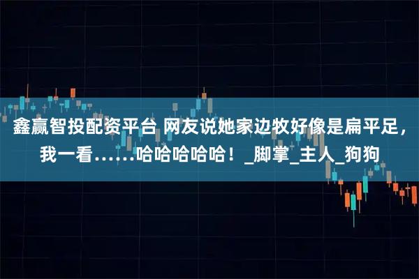 鑫赢智投配资平台 网友说她家边牧好像是扁平足,我一看……哈哈哈哈哈!_脚掌_主人_狗狗