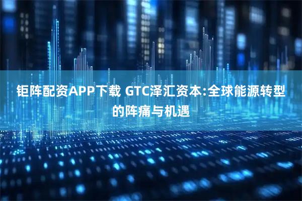 钜阵配资APP下载 GTC泽汇资本:全球能源转型的阵痛与机遇