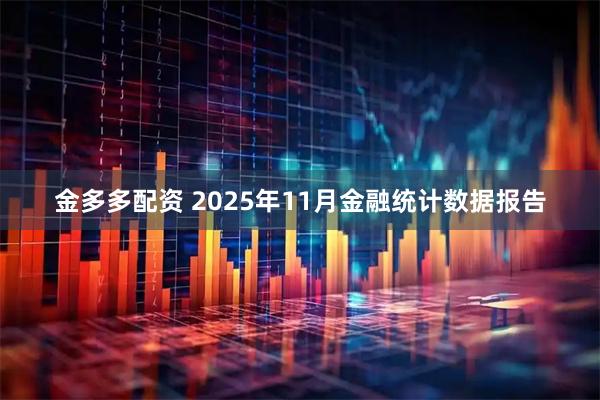 金多多配资 2025年11月金融统计数据报告