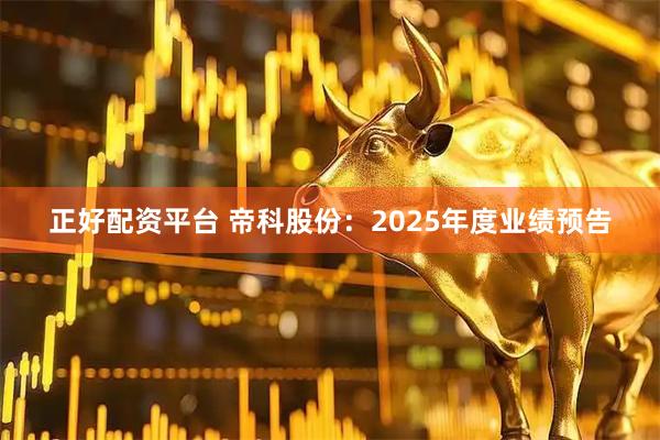 正好配资平台 帝科股份：2025年度业绩预告